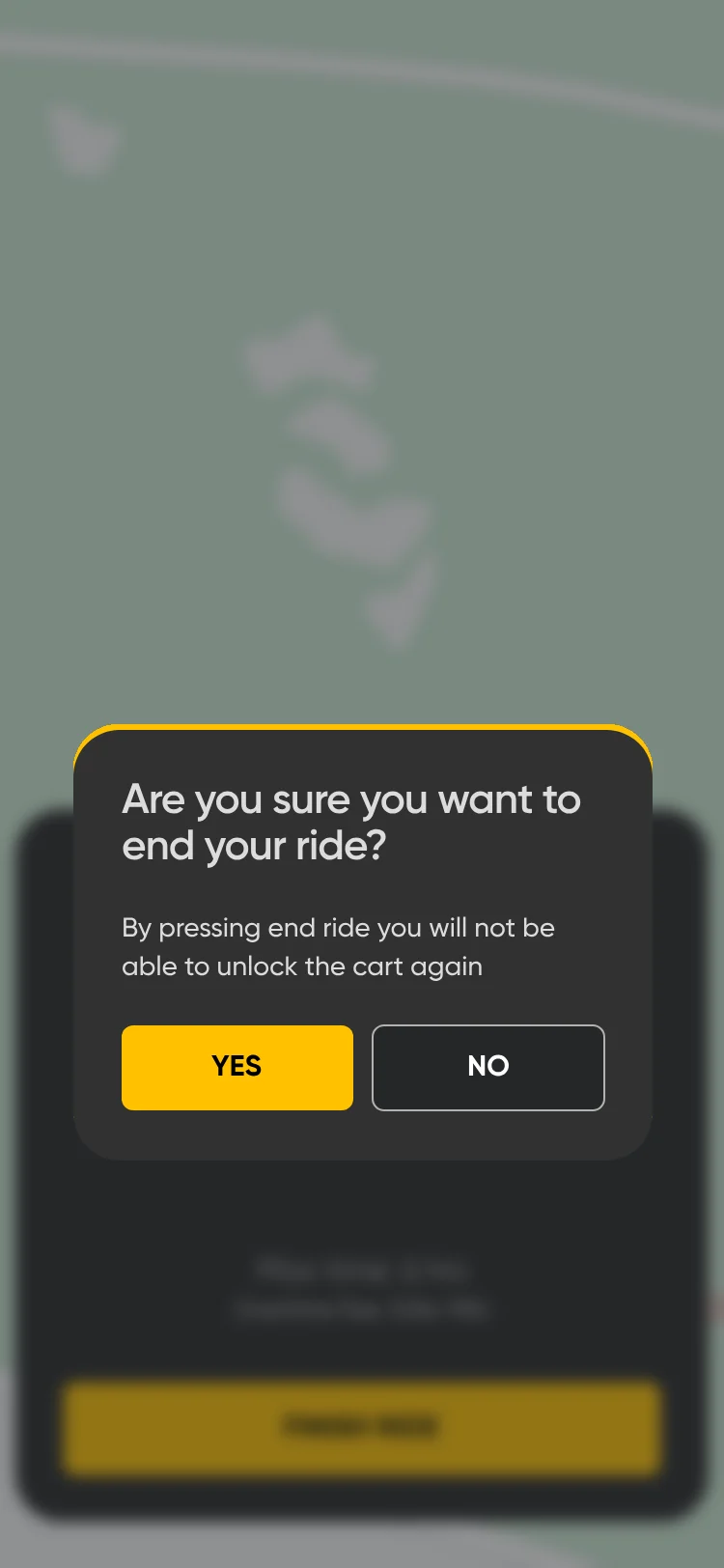 Are you sure you want to end your ride? Yes or No, over the ride sheet.
